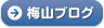 梅山ブログ