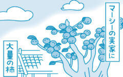 【滋賀の税理士】梅山税理士法人｜会計士マーシーが行く！｜柿食えば